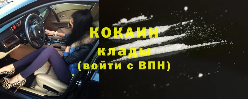 дарнет шоп  Отрадная  Cocaine Fish Scale 